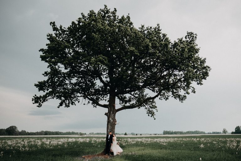laukas ąžuolas jaunieji vestuvės suknelė rapsai fotografas fotosesija